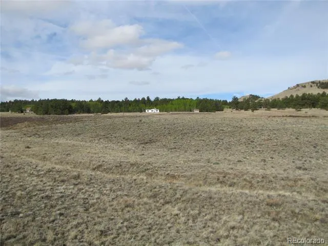 575 Falcon Road Hartsel, CO 80449