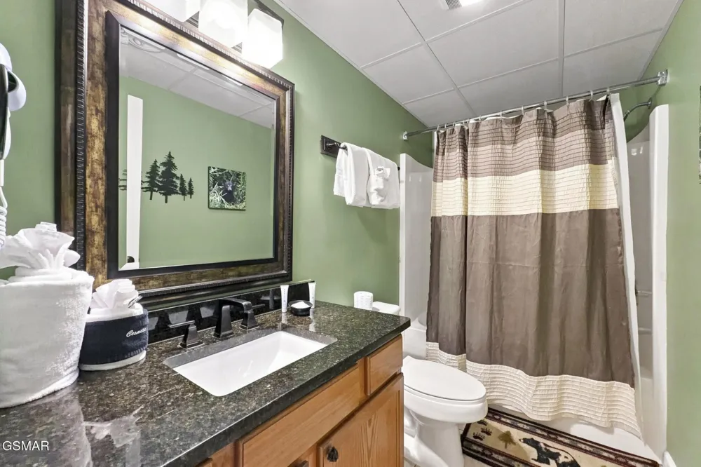 205 Ogle Drive #UNIT 552 Pigeon Forge, TN 37863
