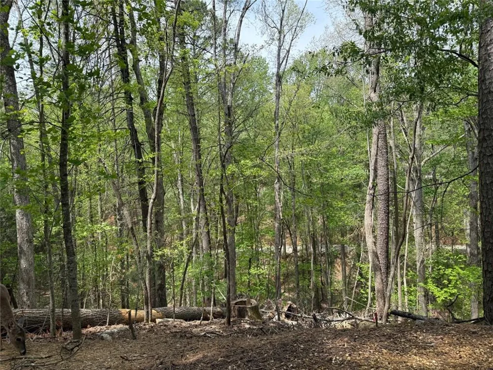142 33rd Street Ellijay, GA 30540