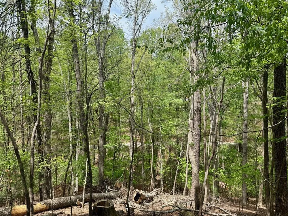 142 33rd Street Ellijay, GA 30540
