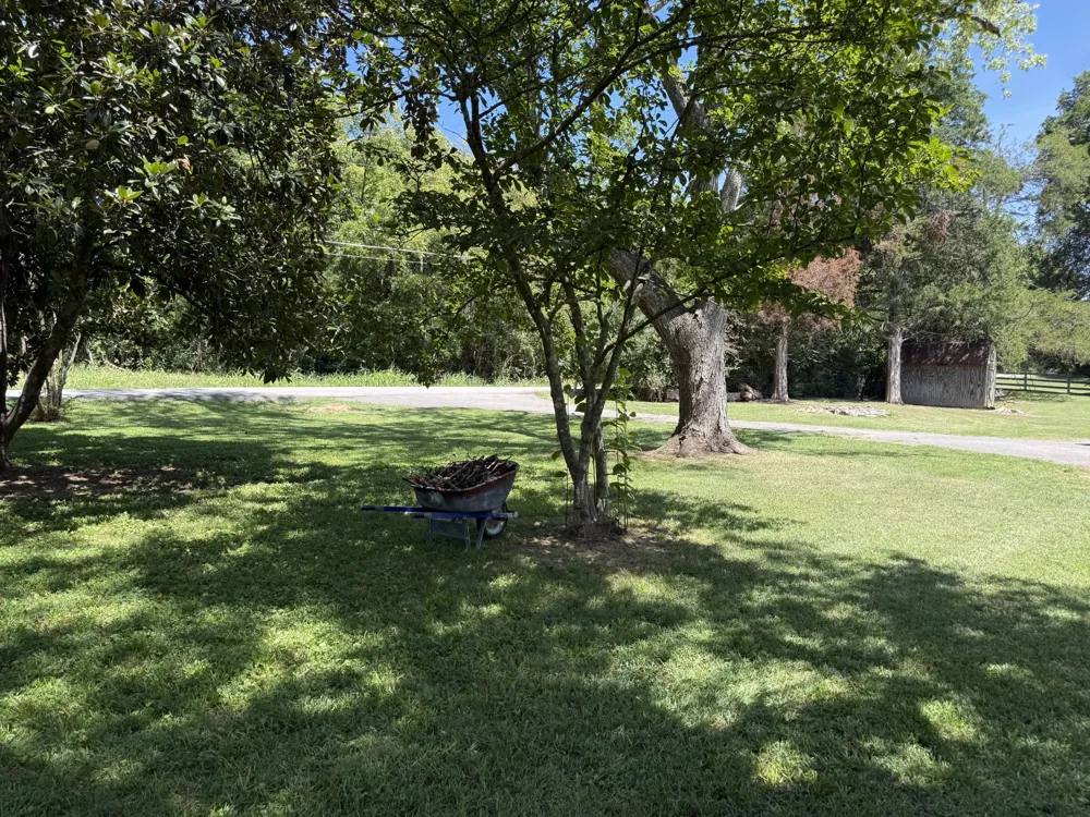 1101 Spencer Creek Pass Franklin, TN 37069