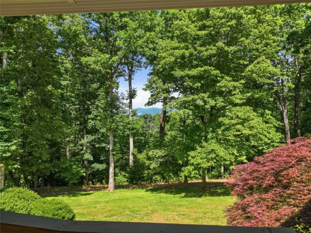 1110 Chatsworth Highway Ellijay, GA 30540