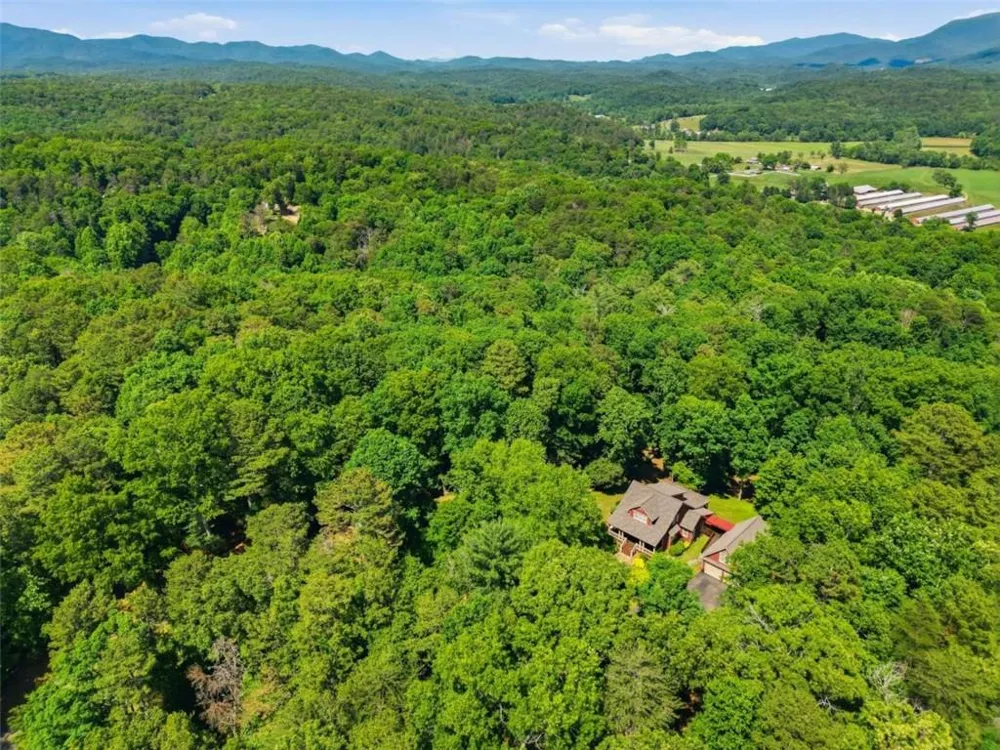 1110 Chatsworth Highway Ellijay, GA 30540