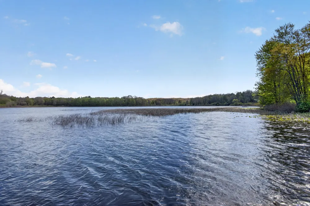 12001 Strait Road Hanover, MI 49241
