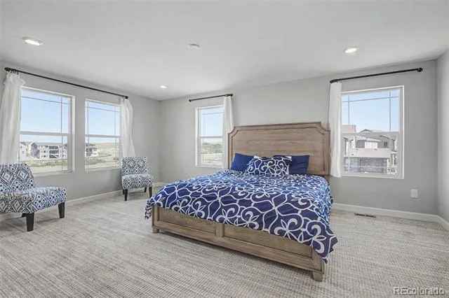 1679 Stable View Drive Castle Rock, CO 80108
