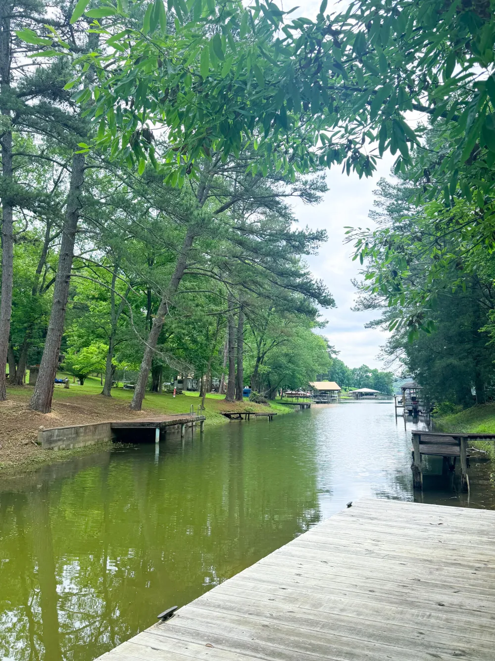 16127 Lakewood Drive Sale Creek, TN 37373