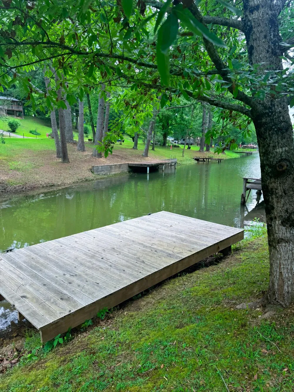 16127 Lakewood Drive Sale Creek, TN 37373