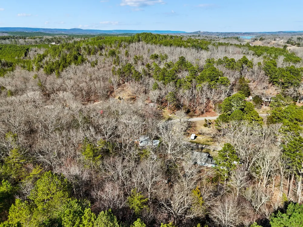 16127 Lakewood Drive Sale Creek, TN 37373