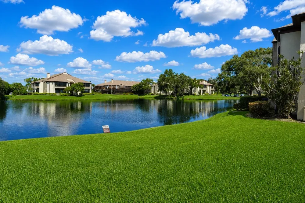 10263 GANDY BOULEVARD #205 St Petersburg, FL 33702