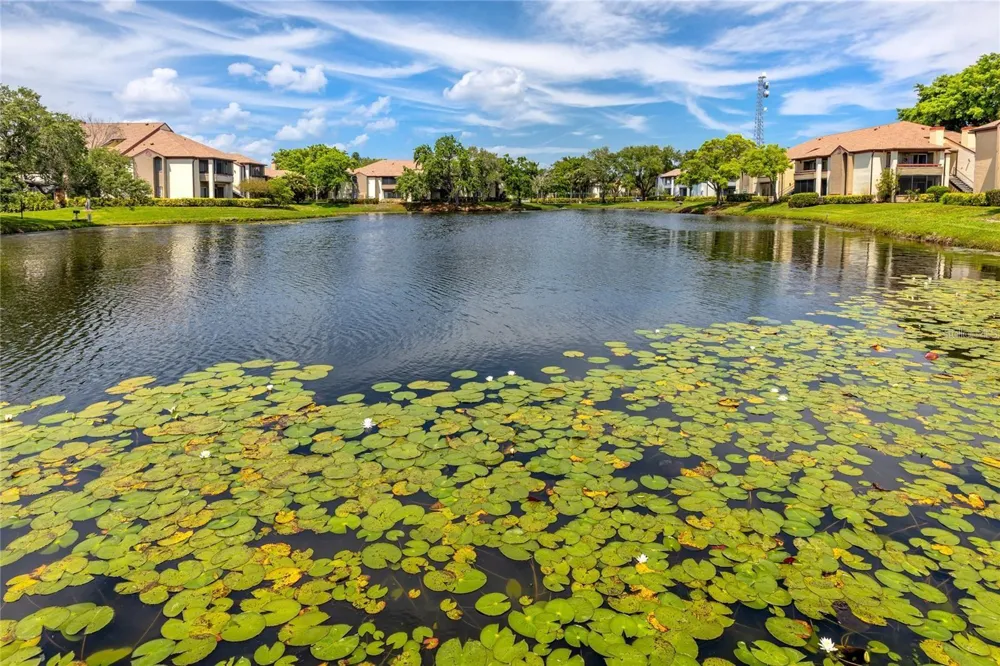 10263 GANDY BOULEVARD #205 St Petersburg, FL 33702