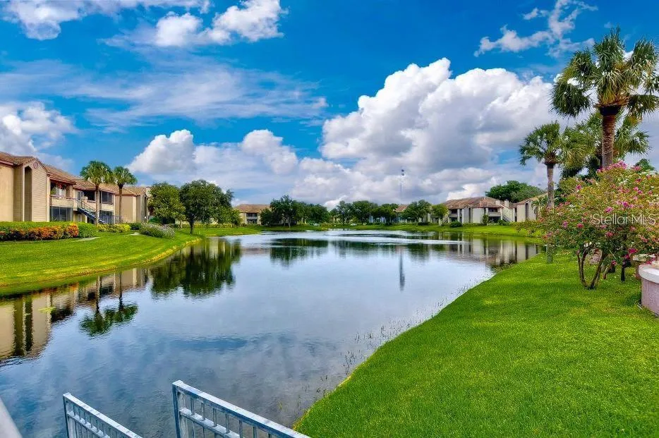 10263 GANDY BOULEVARD #205 St Petersburg, FL 33702