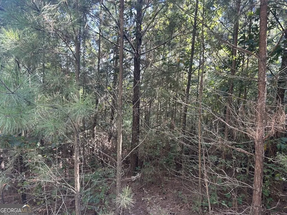 0 Springer Road Whitesburg, GA 30185