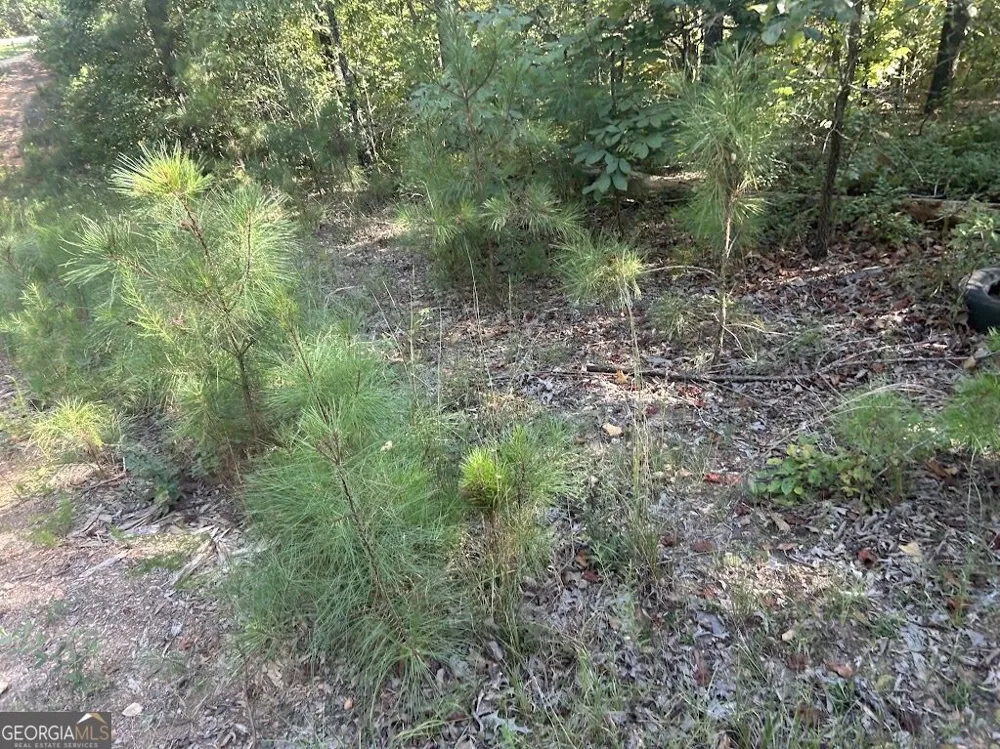 0 Springer Road Whitesburg, GA 30185