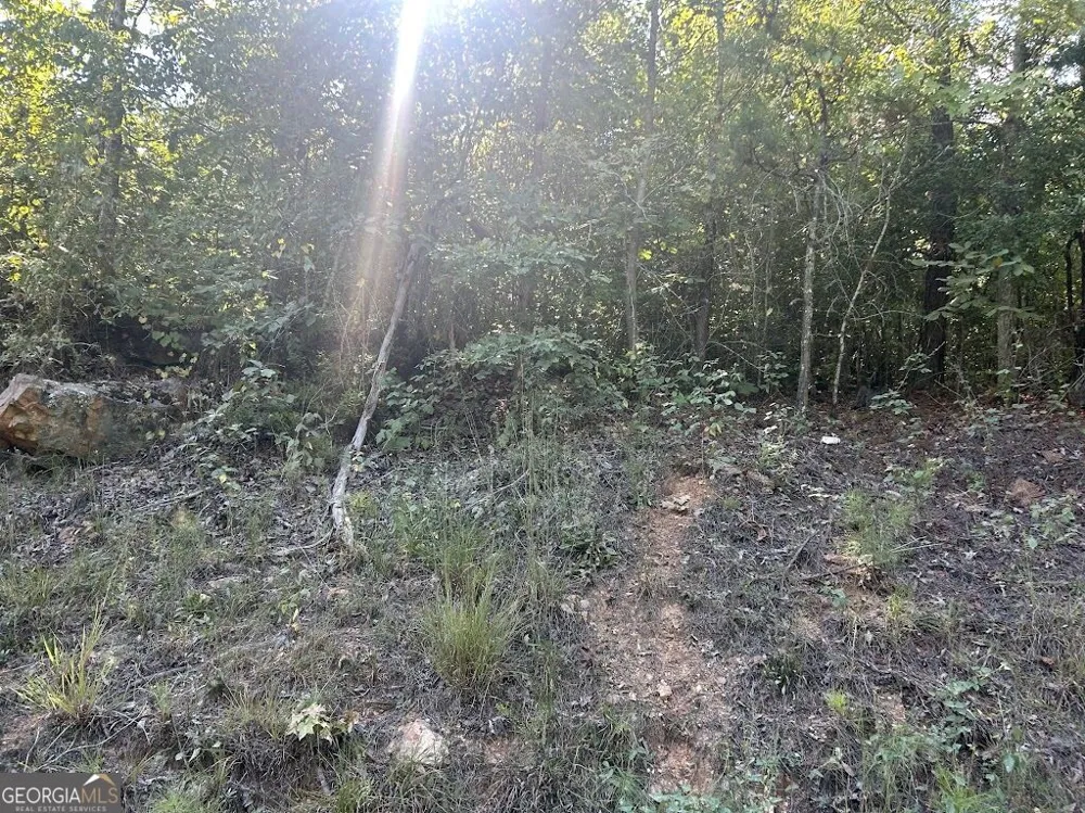 0 Springer Road Whitesburg, GA 30185