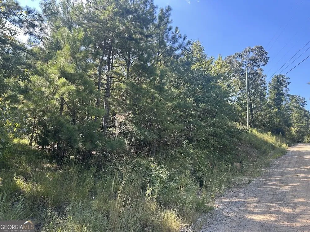 0 Springer Road Whitesburg, GA 30185