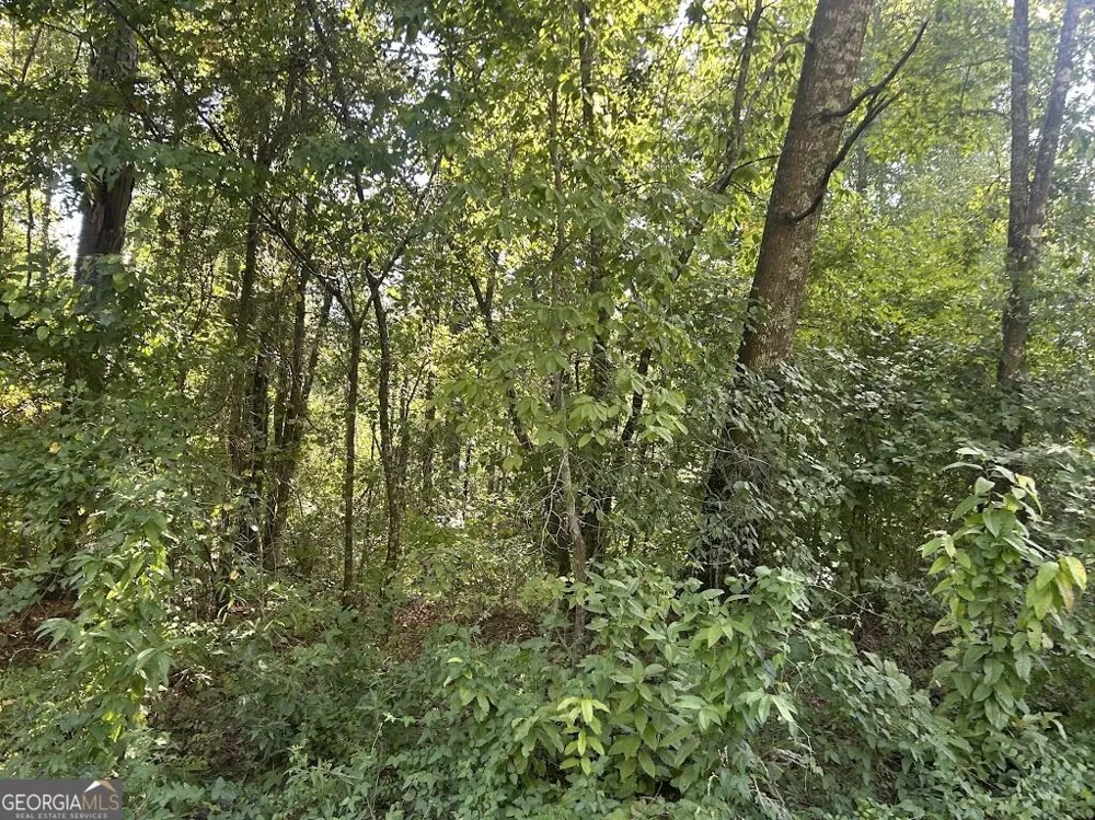 0 Springer Road Whitesburg, GA 30185