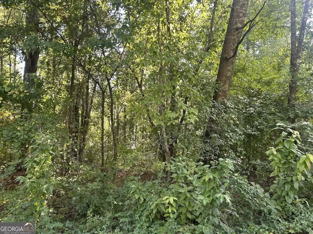 0 Springer Road Whitesburg, GA 30185