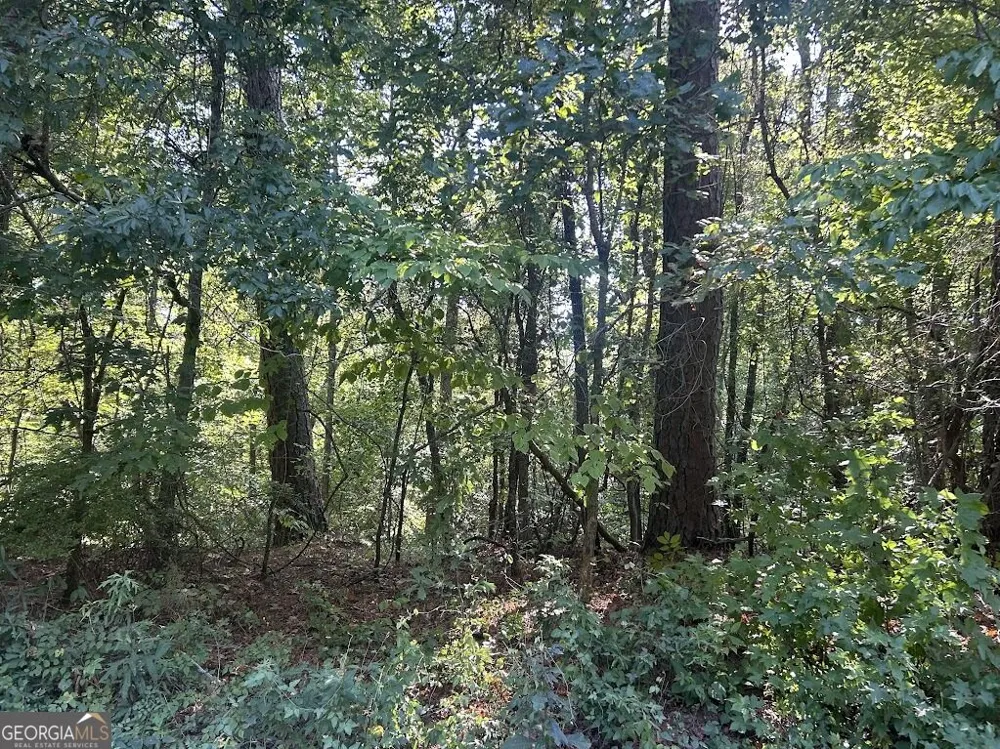 0 Springer Road Whitesburg, GA 30185
