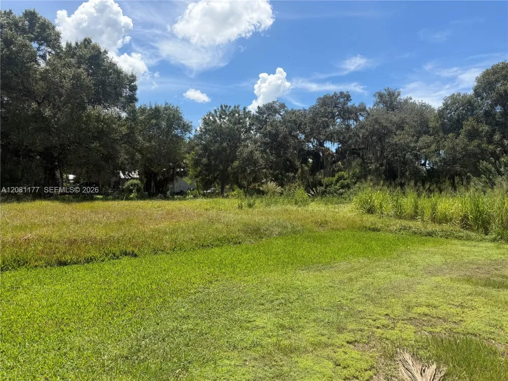 869 Avalon Ave La Belle, FL 33935