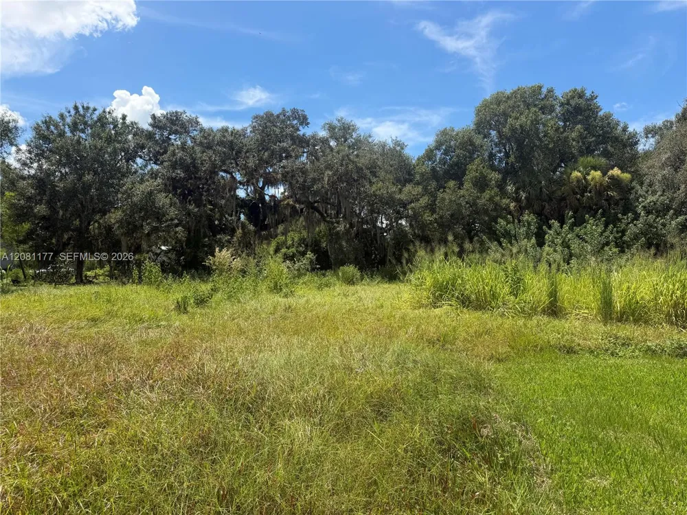 869 Avalon Ave La Belle, FL 33935