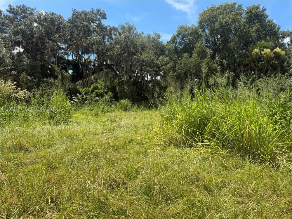 869 Avalon Ave La Belle, FL 33935