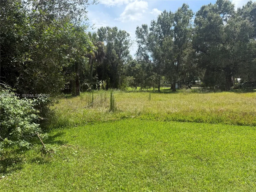 869 Avalon Ave La Belle, FL 33935