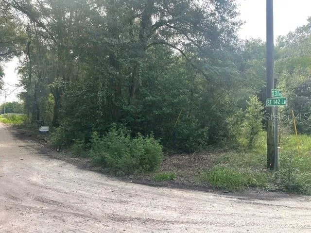 TBD SE 142ND LANE Summerfield, FL 34491