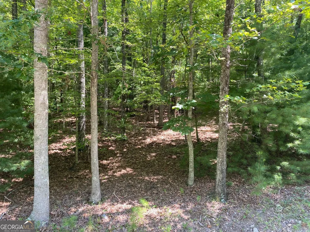 6.93 AC Timber Ridge Road Blairsville, GA 30512