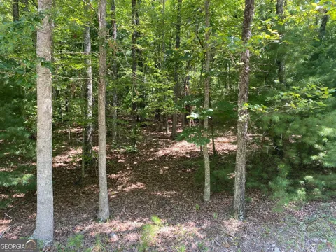 6.93 AC Timber Ridge Road