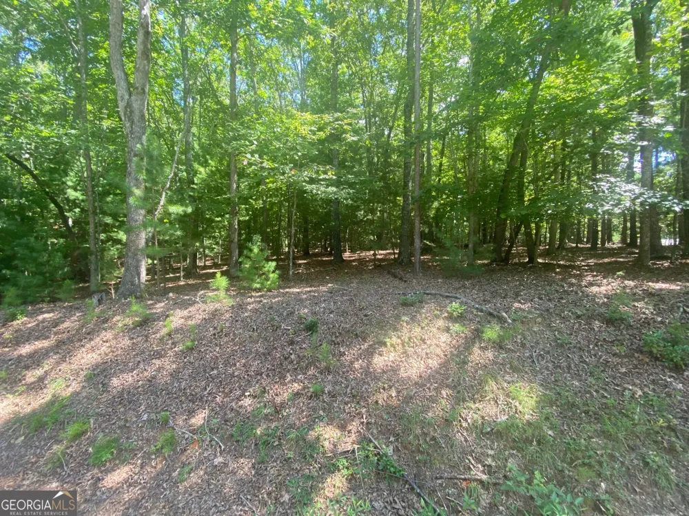 6.93 AC Timber Ridge Road Blairsville, GA 30512