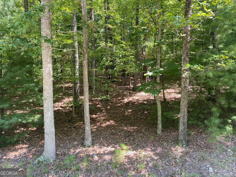 6.93 AC Timber Ridge Road Blairsville, GA 30512
