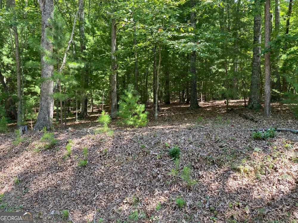 6.93 AC Timber Ridge Road Blairsville, GA 30512
