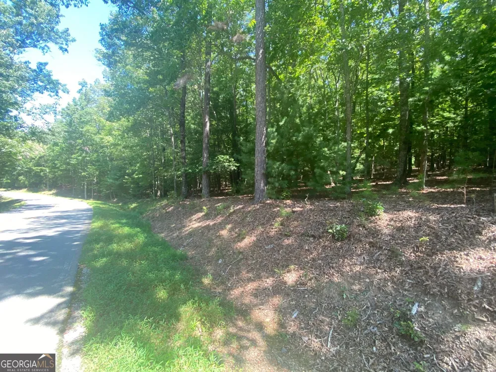 6.93 AC Timber Ridge Road Blairsville, GA 30512