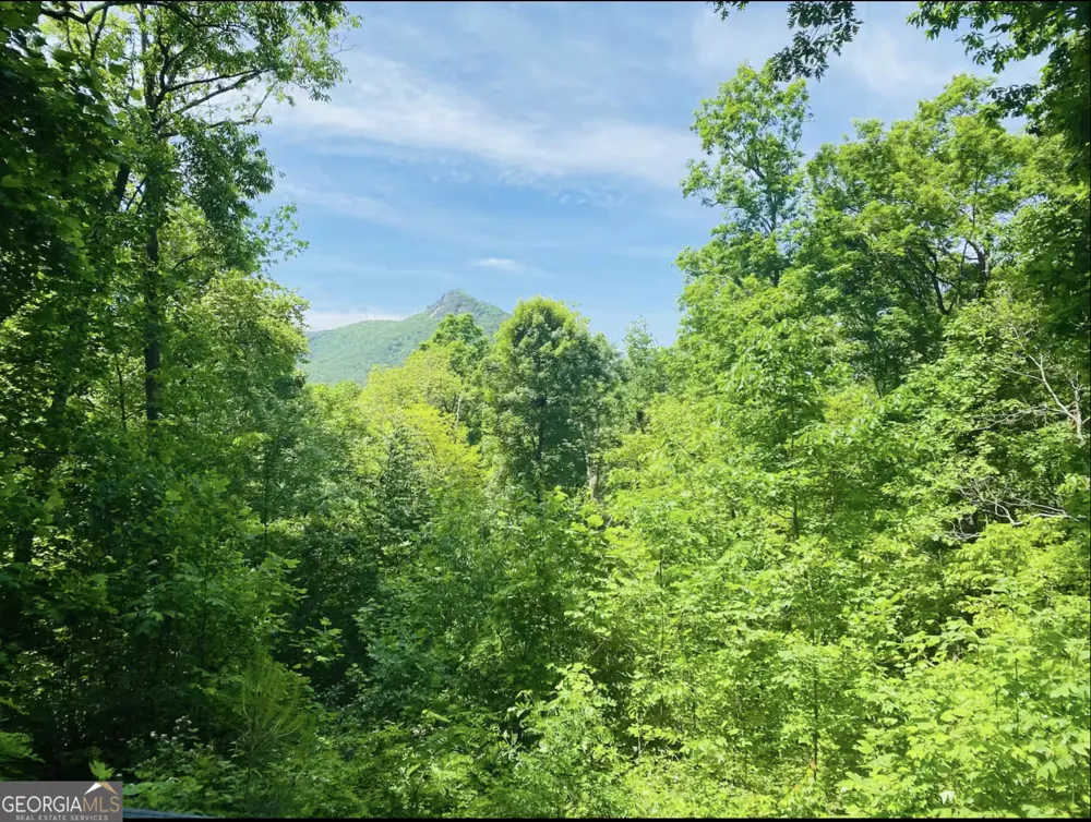 2531 Hunter RD Hiawassee, GA 30546