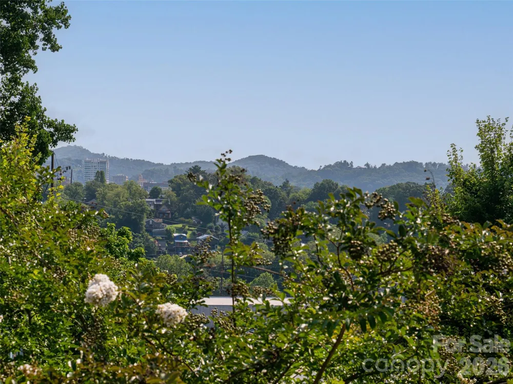 4 Osprey Trail Asheville, NC 28806
