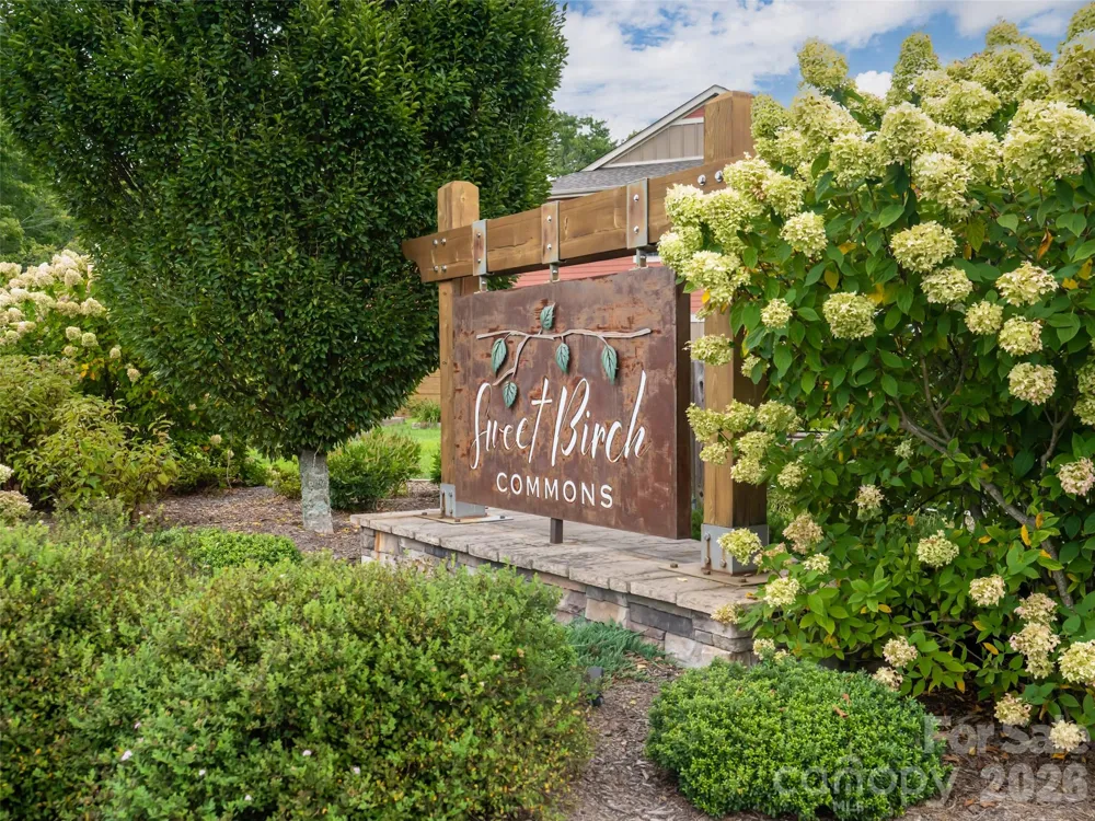 554 Sweet Birch Park Lane Black Mountain, NC 28711
