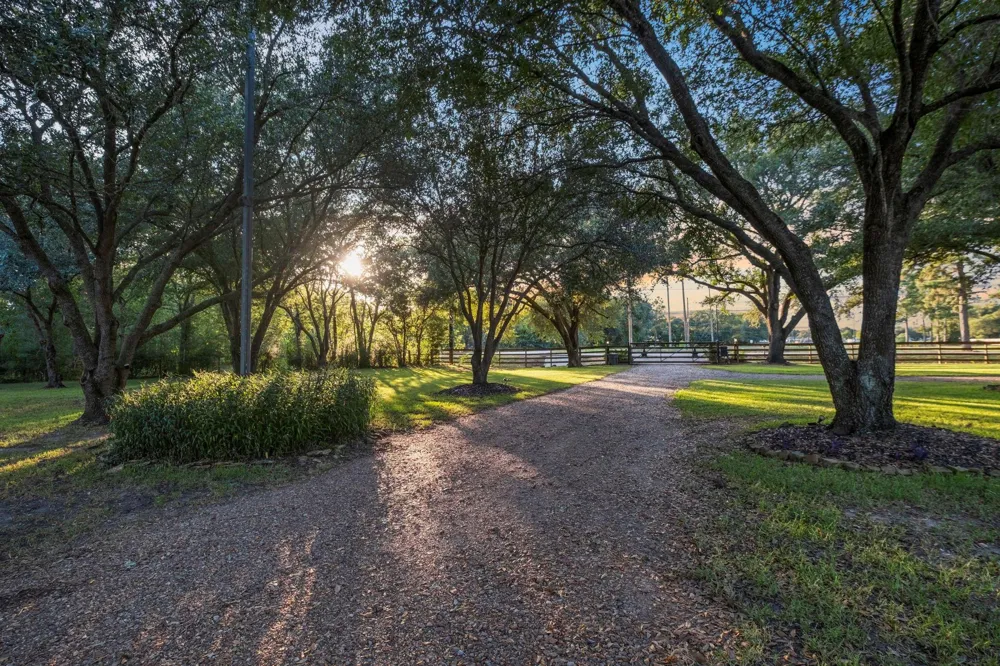 13319 Colony Road Needville, TX 77461