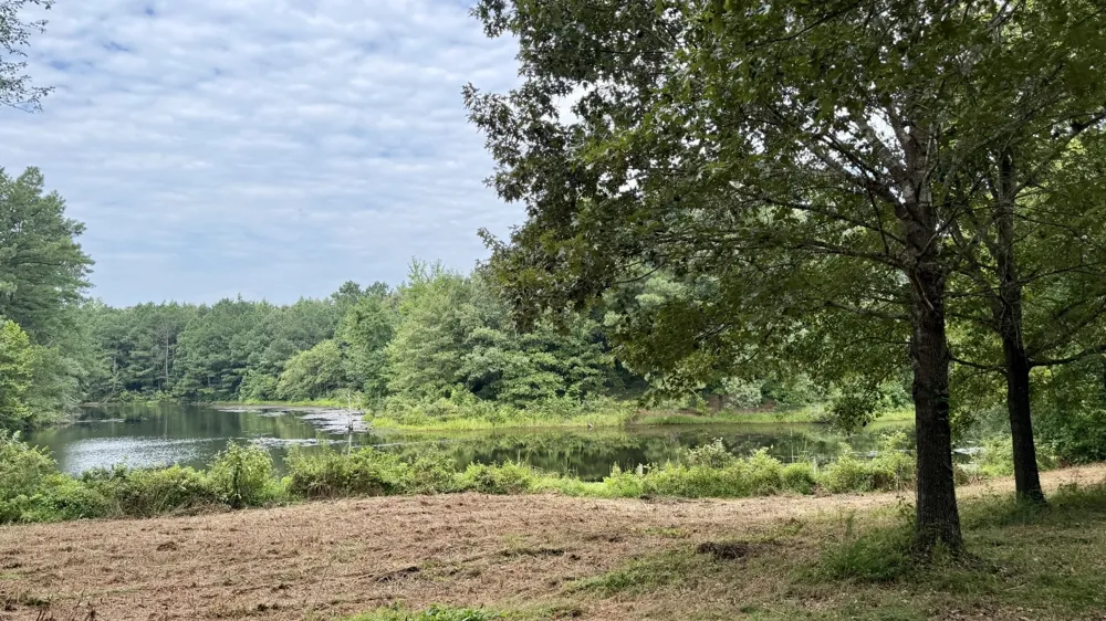 2181 Graham Cypress Rd Greenville, KY 42345