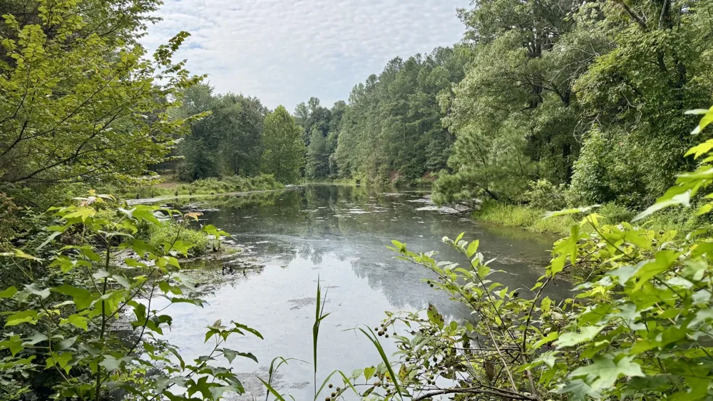 2181 Graham Cypress Rd Greenville, KY 42345