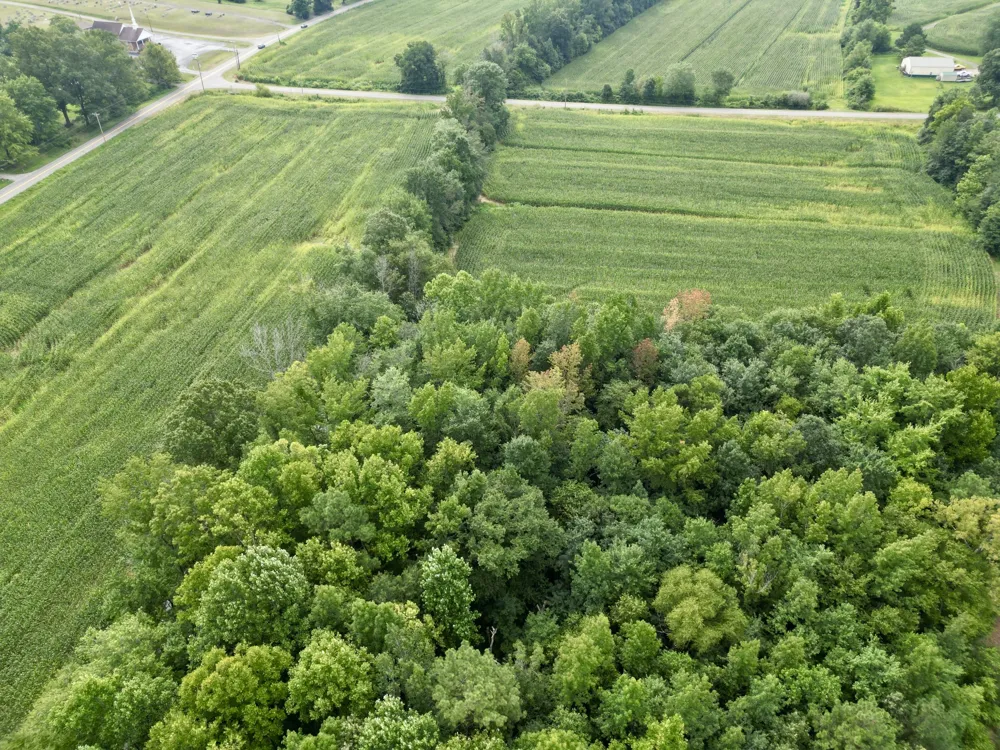 2181 Graham Cypress Rd Greenville, KY 42345