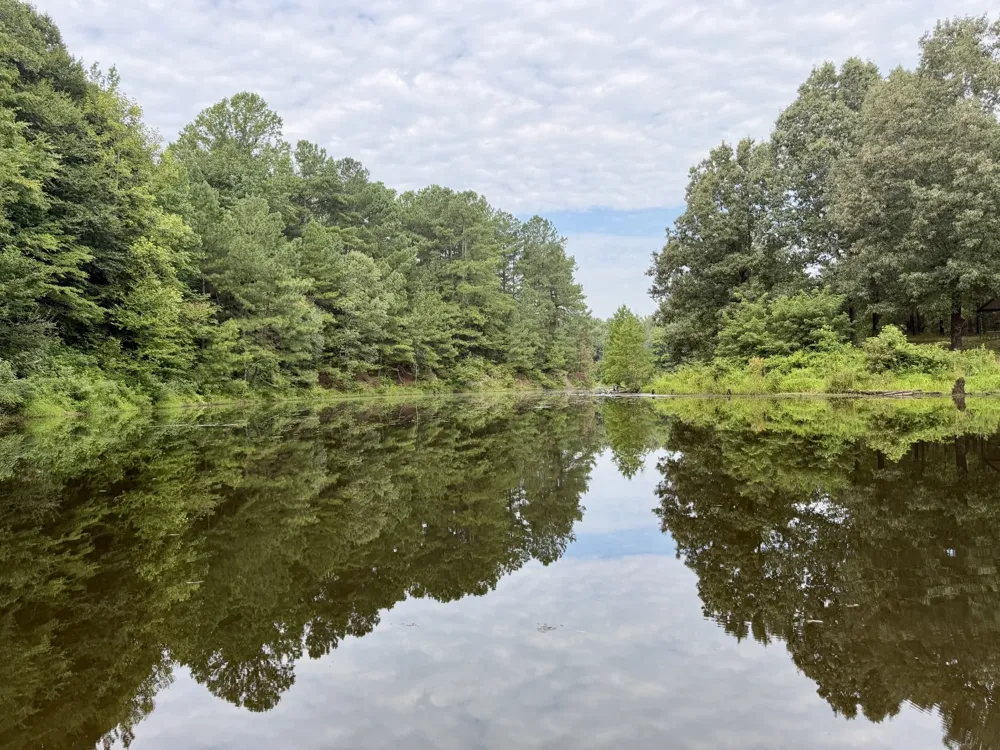 2181 Graham Cypress Rd Greenville, KY 42345