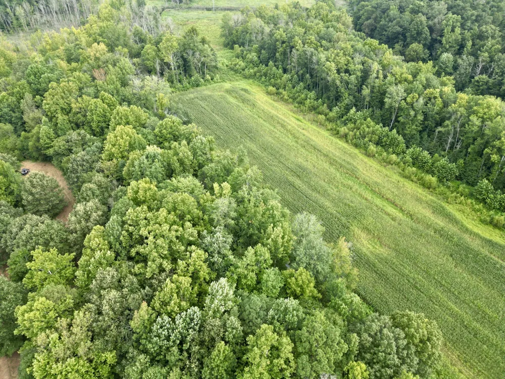 2181 Graham Cypress Rd Greenville, KY 42345