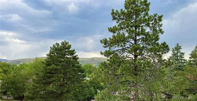 1221 S Ward Court Denver, CO 80228
