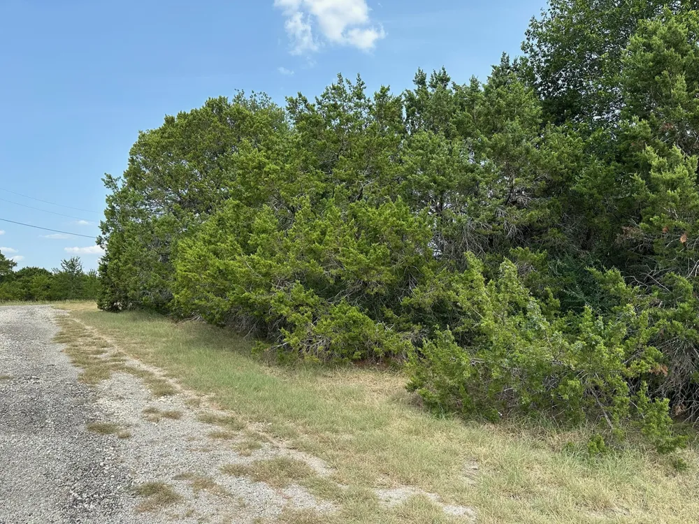 18034 S Southhill Drive Whitney, TX 76692