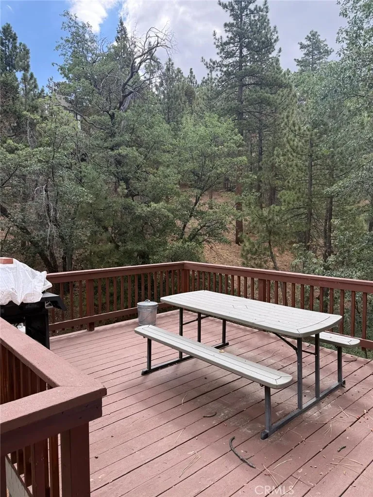 1260 Minton Drive Big Bear City, CA 92314