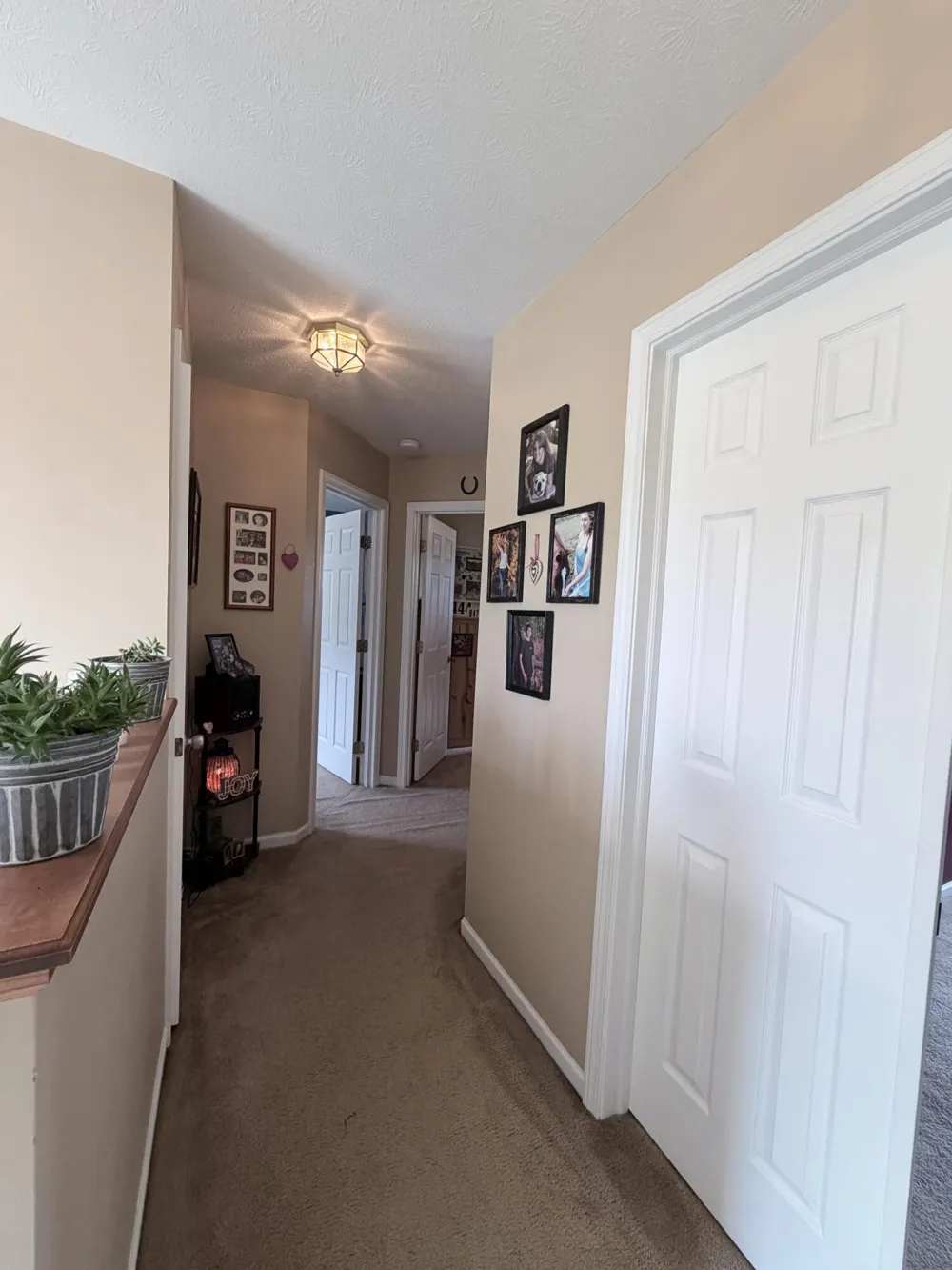 6585 Sinclair Road Bainbridge Township, MI 49111