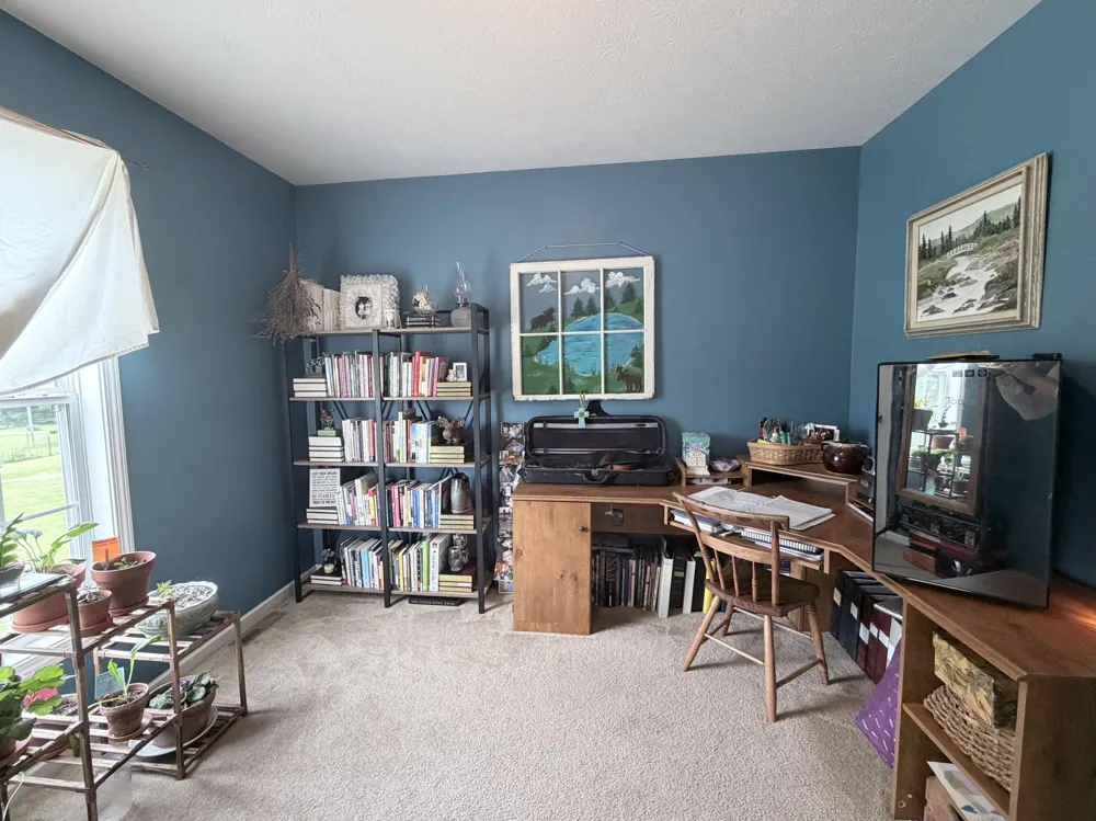 6585 Sinclair Road Bainbridge Township, MI 49111
