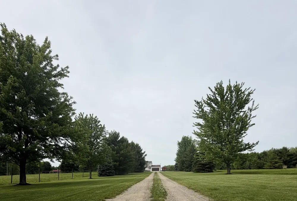 6585 Sinclair Road Bainbridge Township, MI 49111