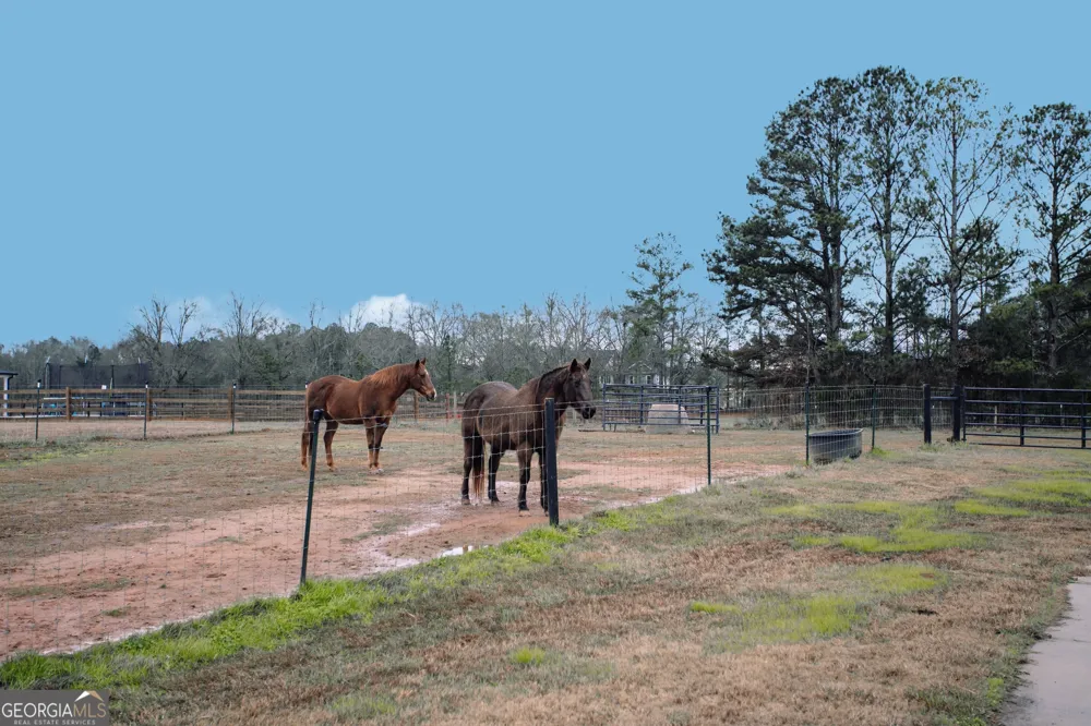 3221 Hollonville RD Williamson, GA 30292