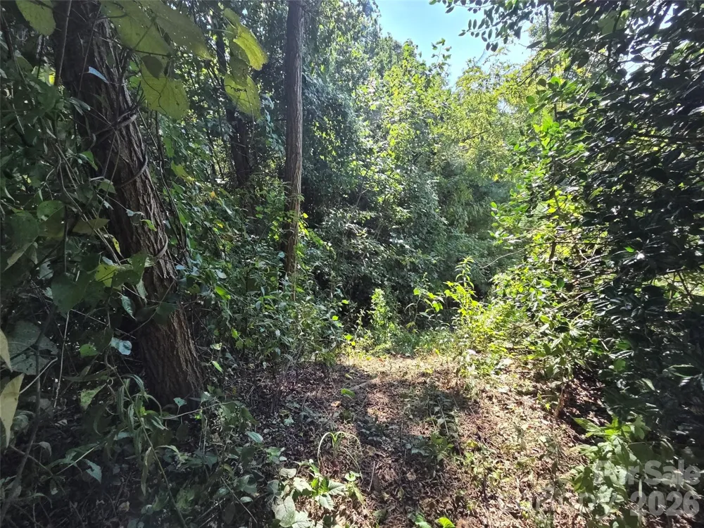 59 Summit Hill Road Hendersonville, NC 28791